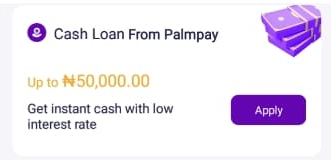  How to get loan from palmpay (palmpay Flexi loan)
